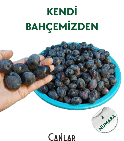 Siyah Çiğ Zeytin 2 Numara