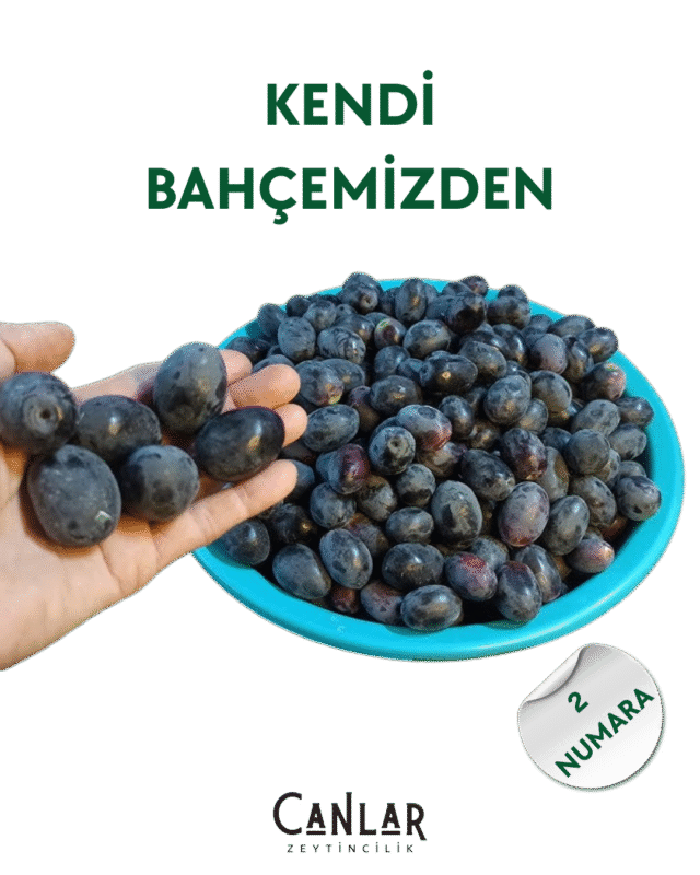 Siyah Çiğ Zeytin 2 Numara