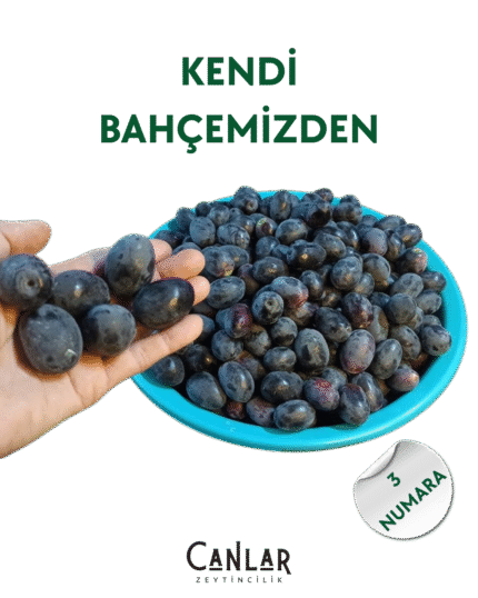 Siyah Çiğ Zeytin 3 Numara