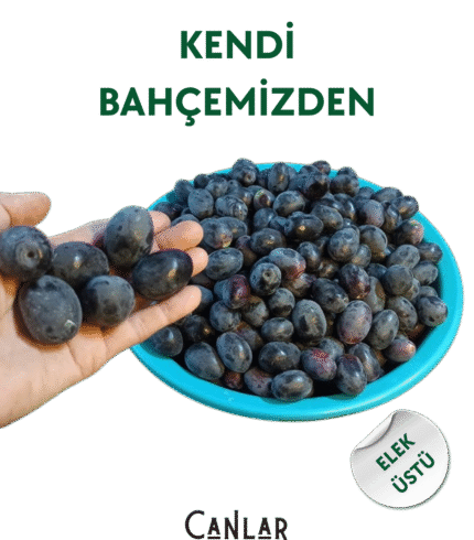 Siyah Çiğ Zeytin Elek Üstü